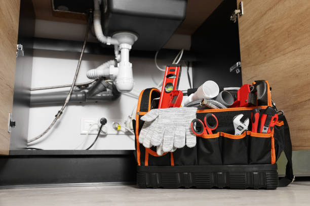 Best Plumbing Inspection Services  in Decordova, TX