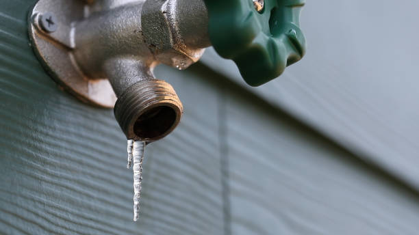 Best Plumbing Services Near Me  in Decordova, TX